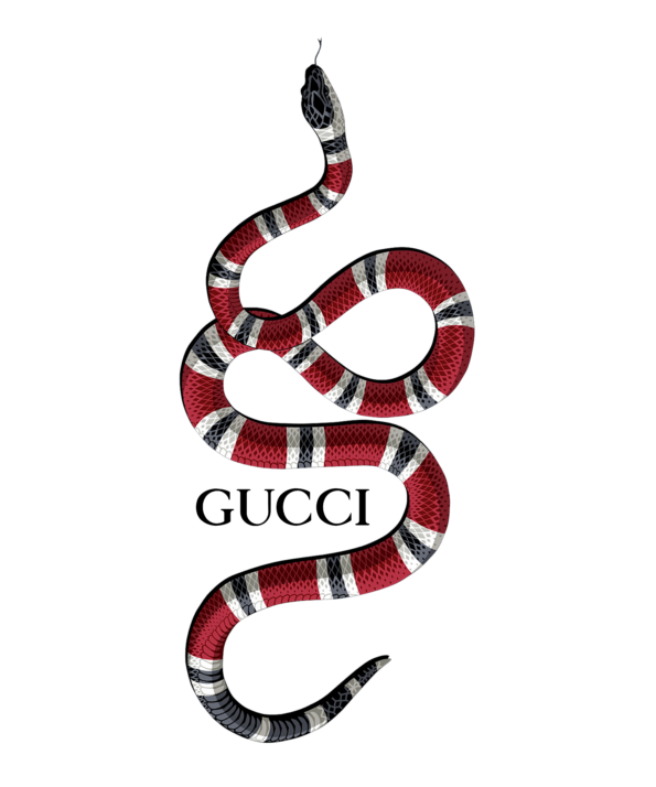 Snake gg iron on heat transfers