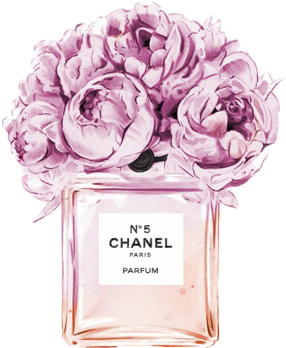 CC iron on heat transfers 24