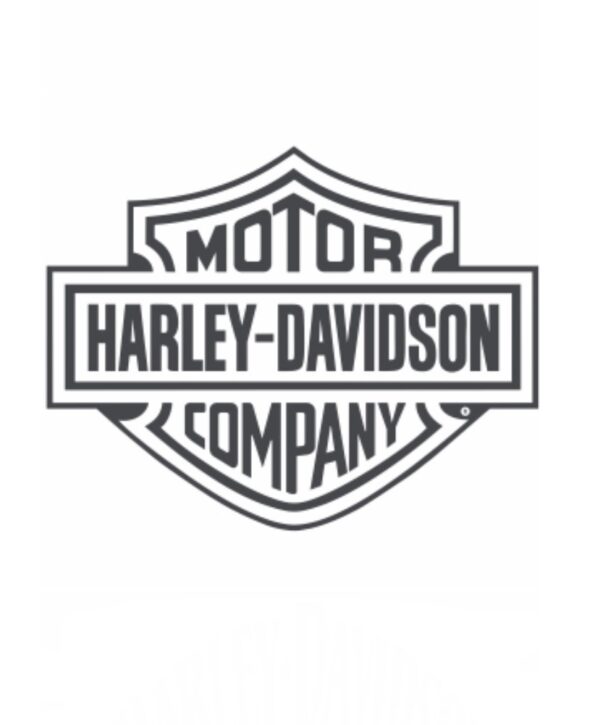 Harley heat transfer 10