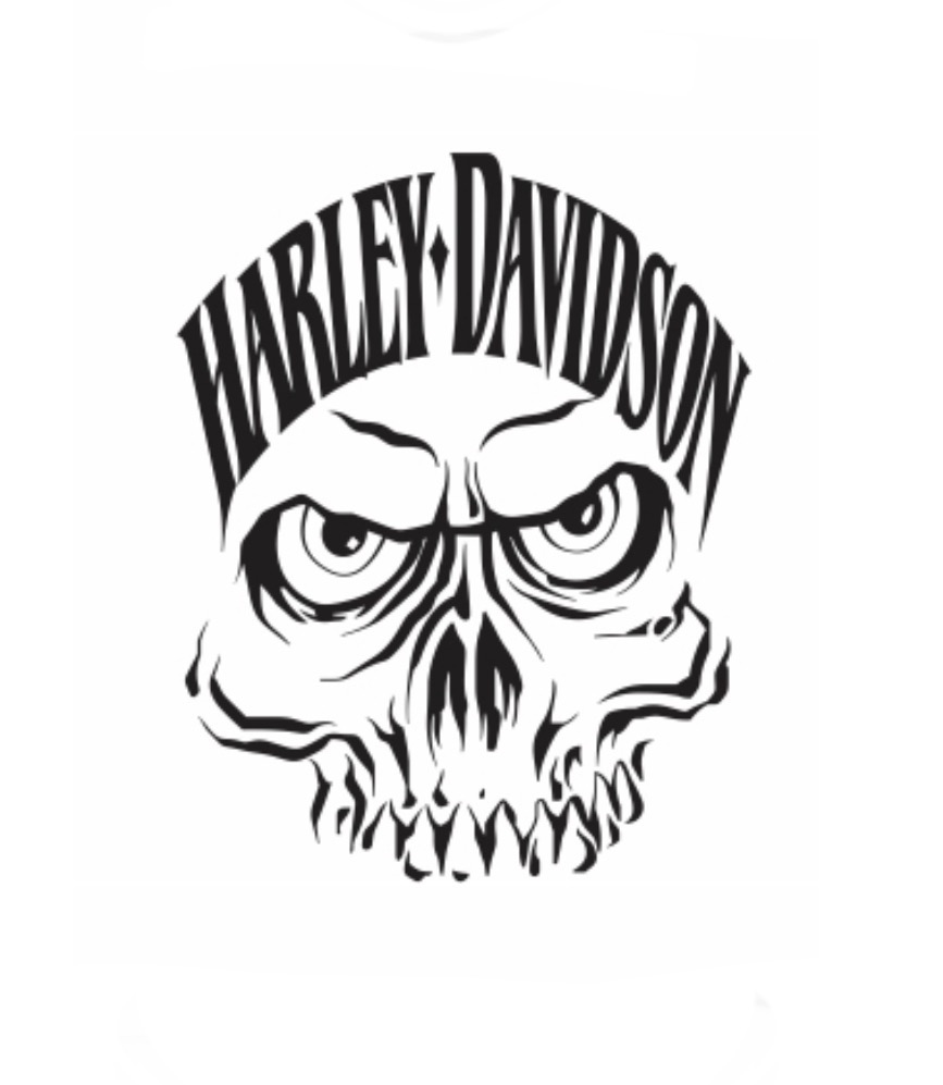 Harley heat transfer 9