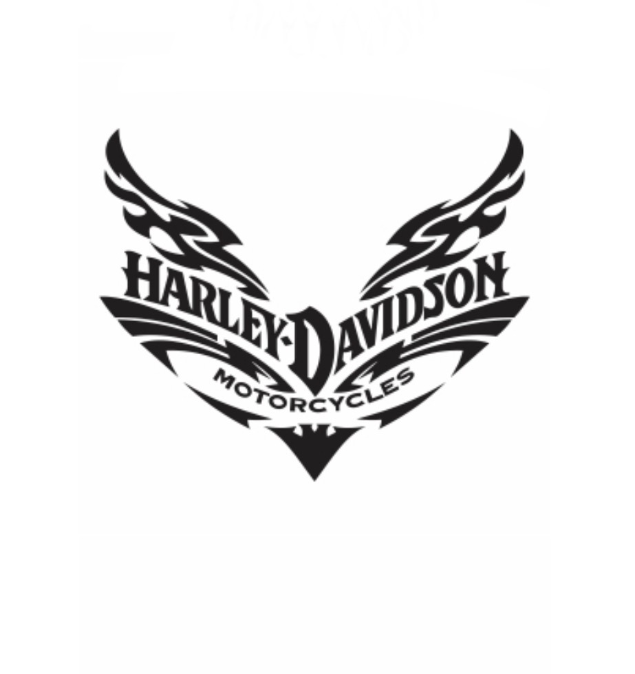 Harley heat transfer 8