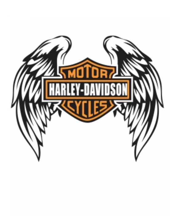 Harley heat transfer 6