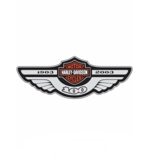 Harley heat transfer 2