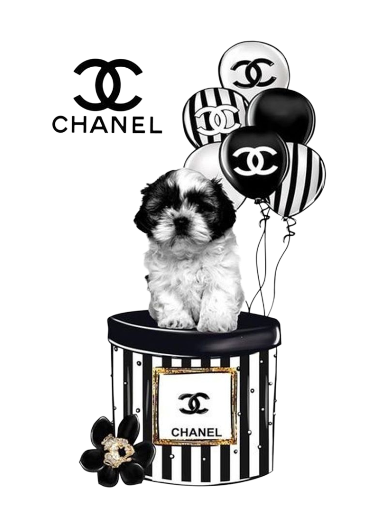 Dog iron on heat transfers