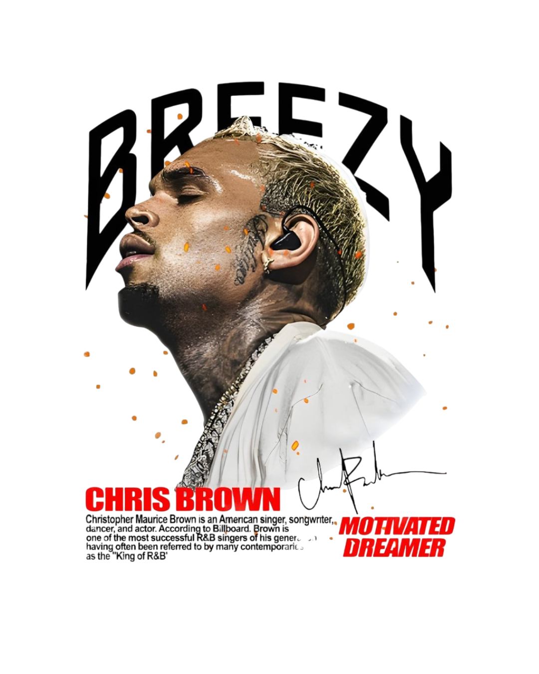 Chris Brown heat transfers 26