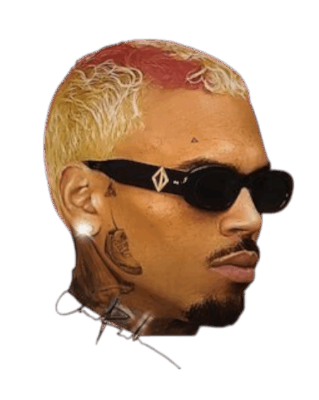 Chris Brown heat transfers 27