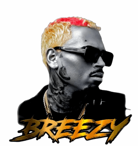 Chris Brown heat transfers 6