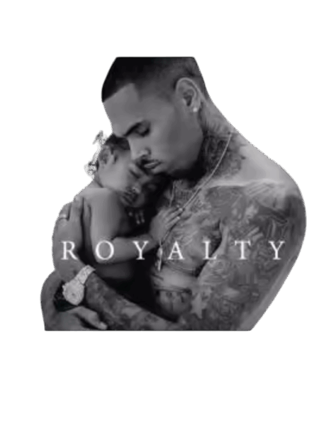 Chris Brown heat transfers 19