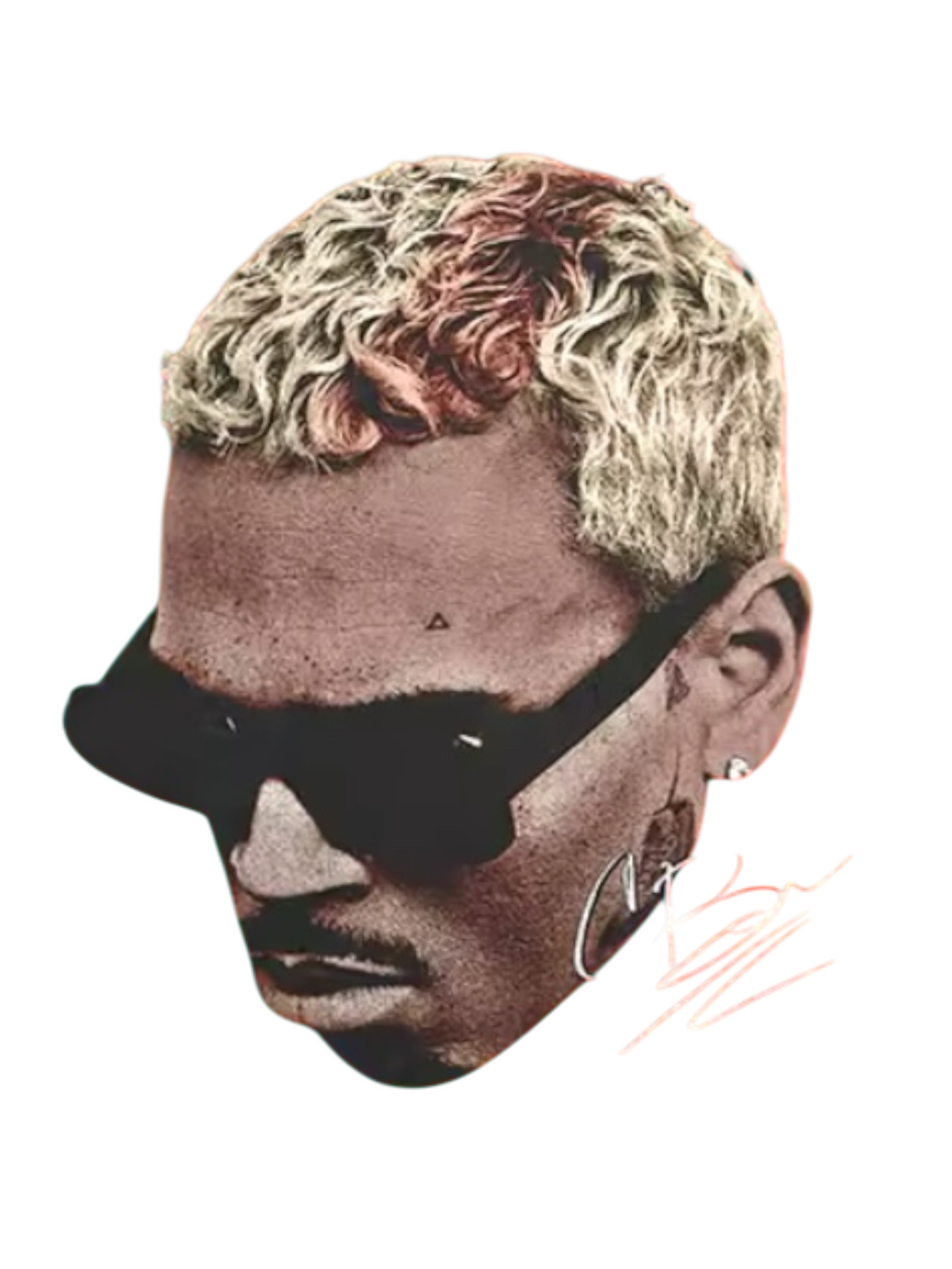 Chris Brown heat transfers 17