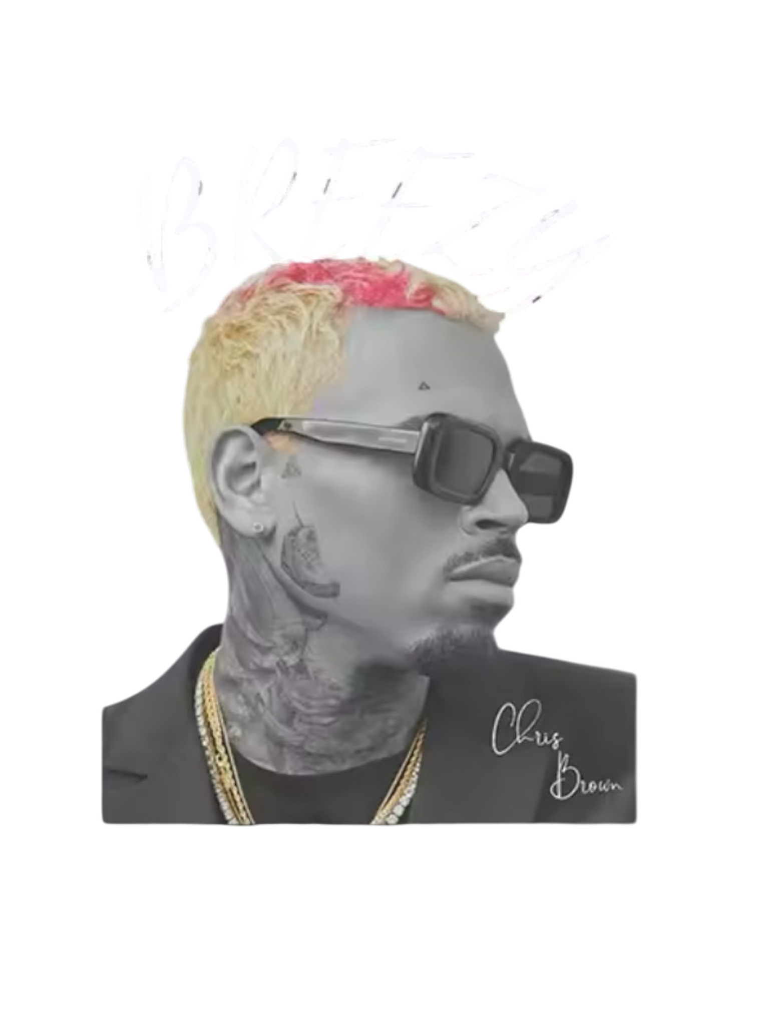 Chris Brown heat transfers 14