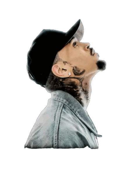 Chris Brown heat transfers 15