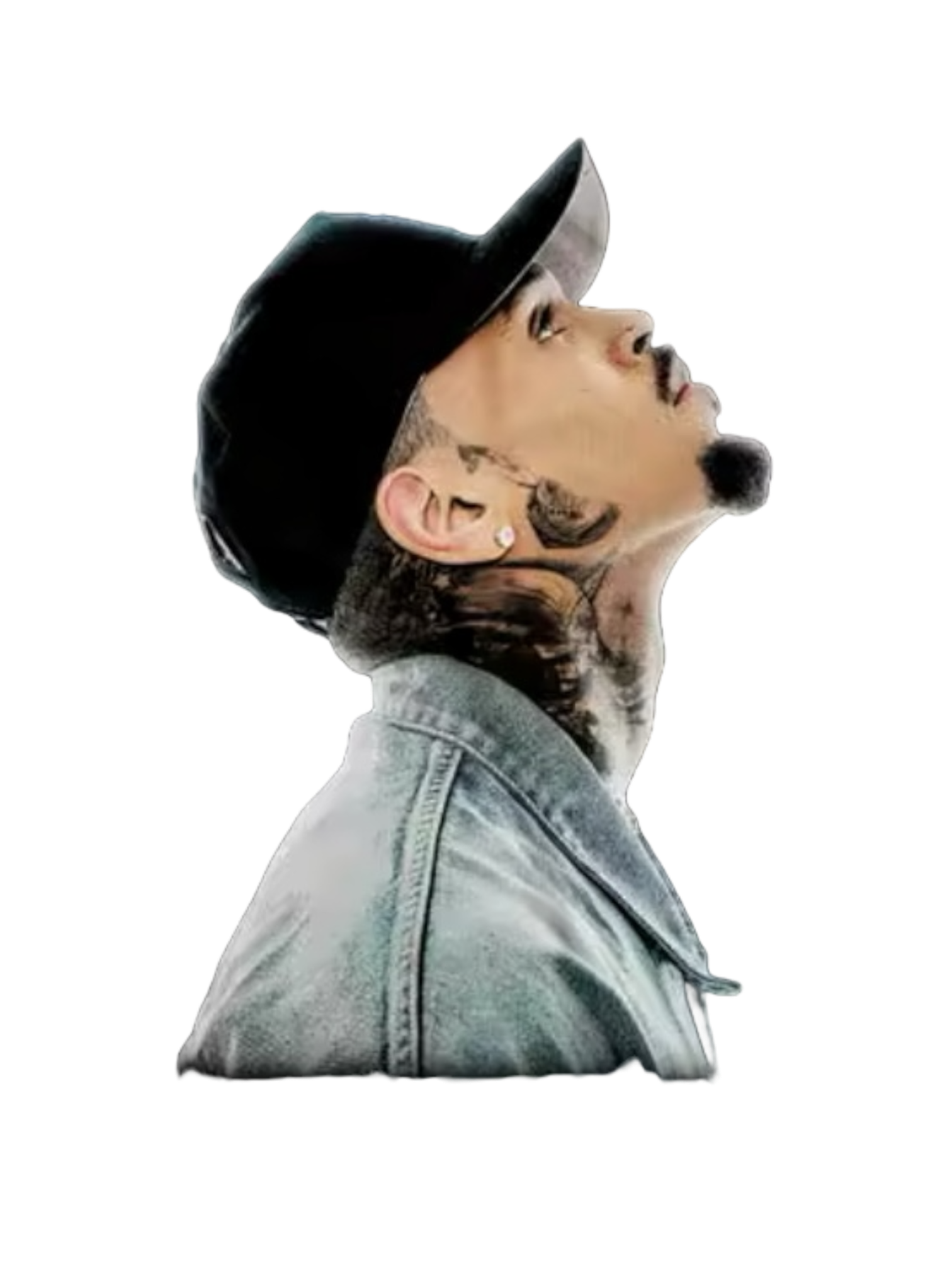 Chris Brown heat transfers 15