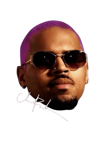 Chris Brown heat transfers 13