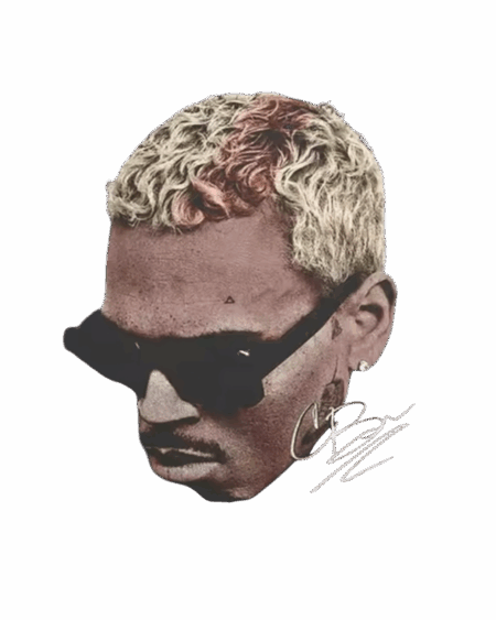 Chris Brown heat transfers 41