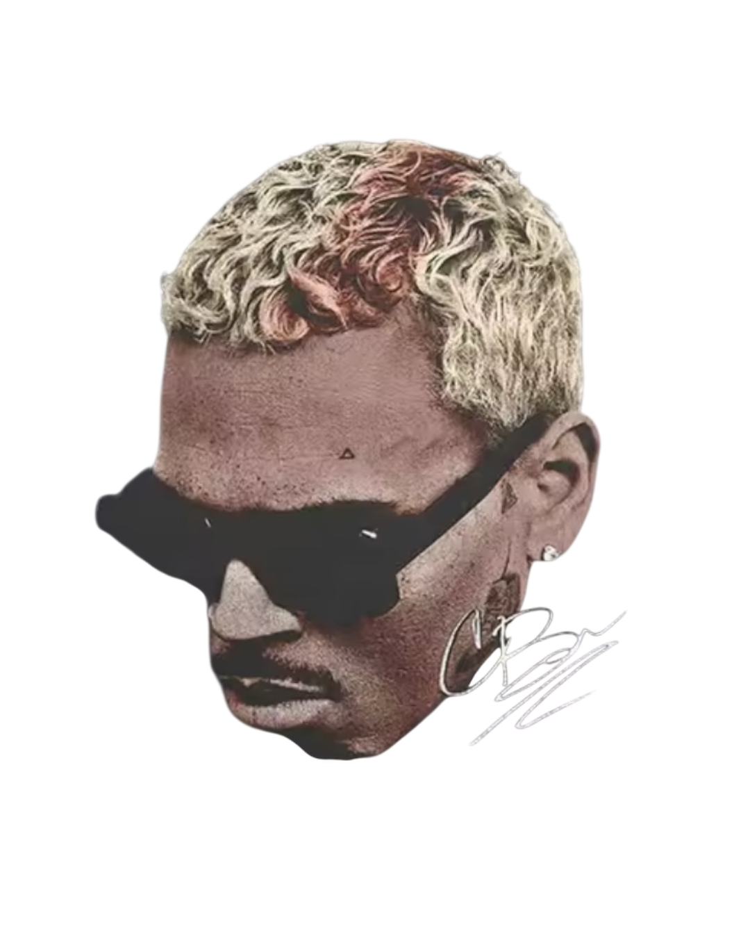 Chris Brown heat transfers 41