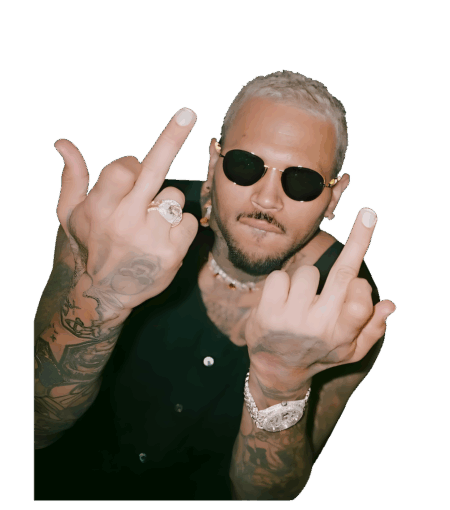 Chris Brown heat transfers 59