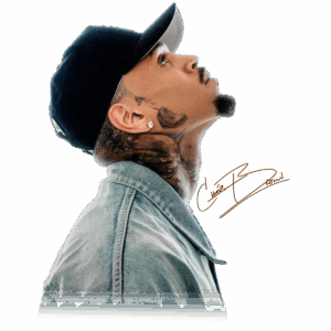 Chris Brown heat transfers 15