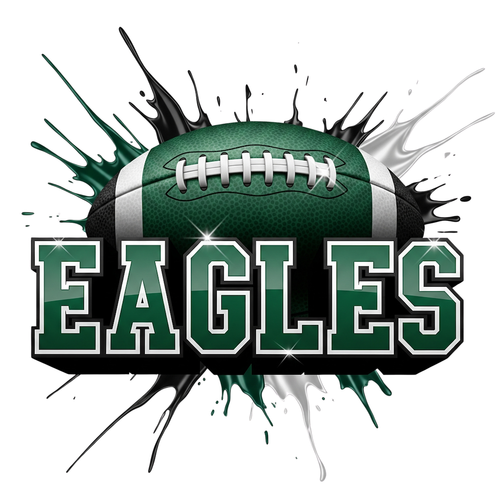 Eagles football sports heat transfers