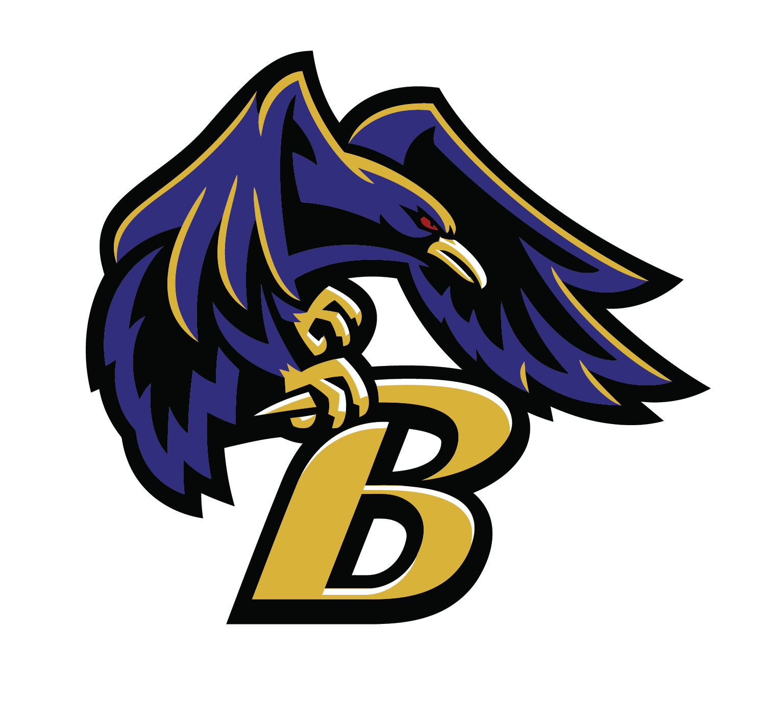 football heat transfers