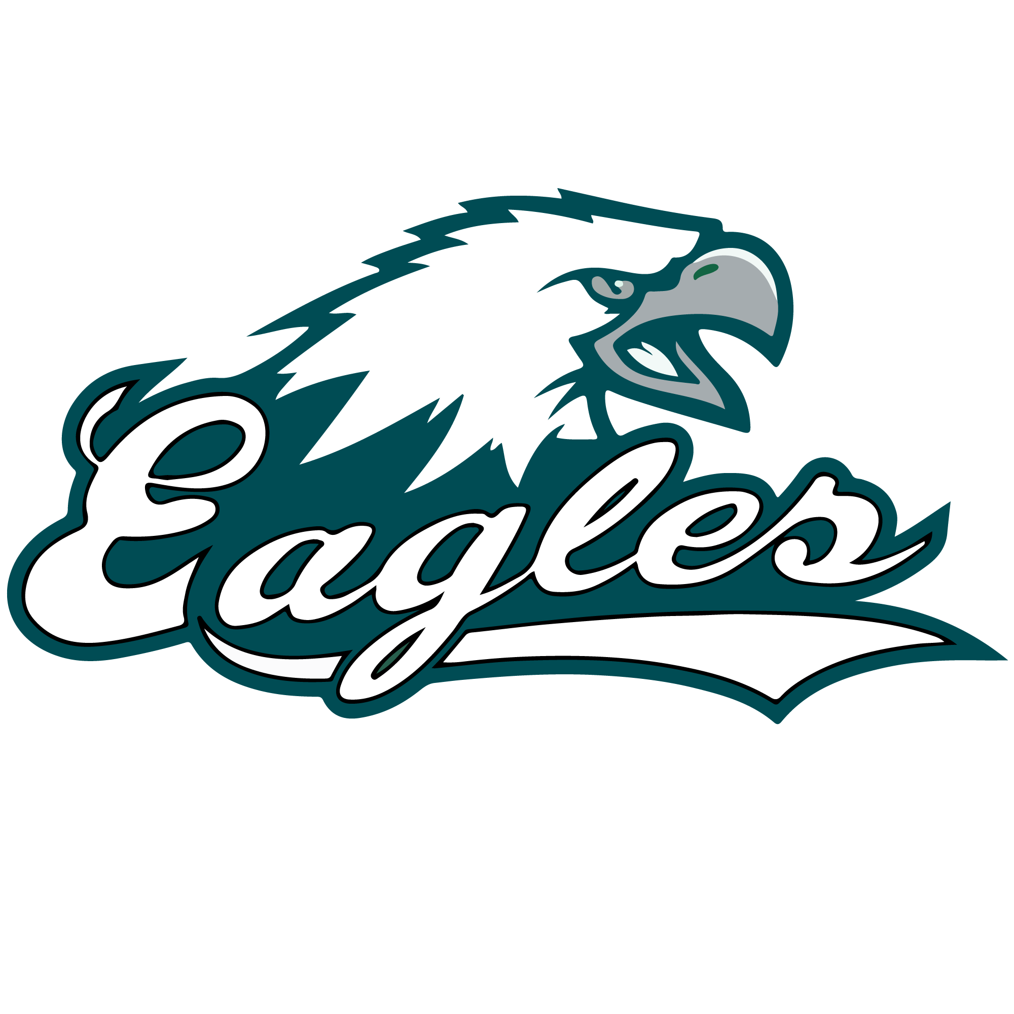 Eagles sports heat transfers