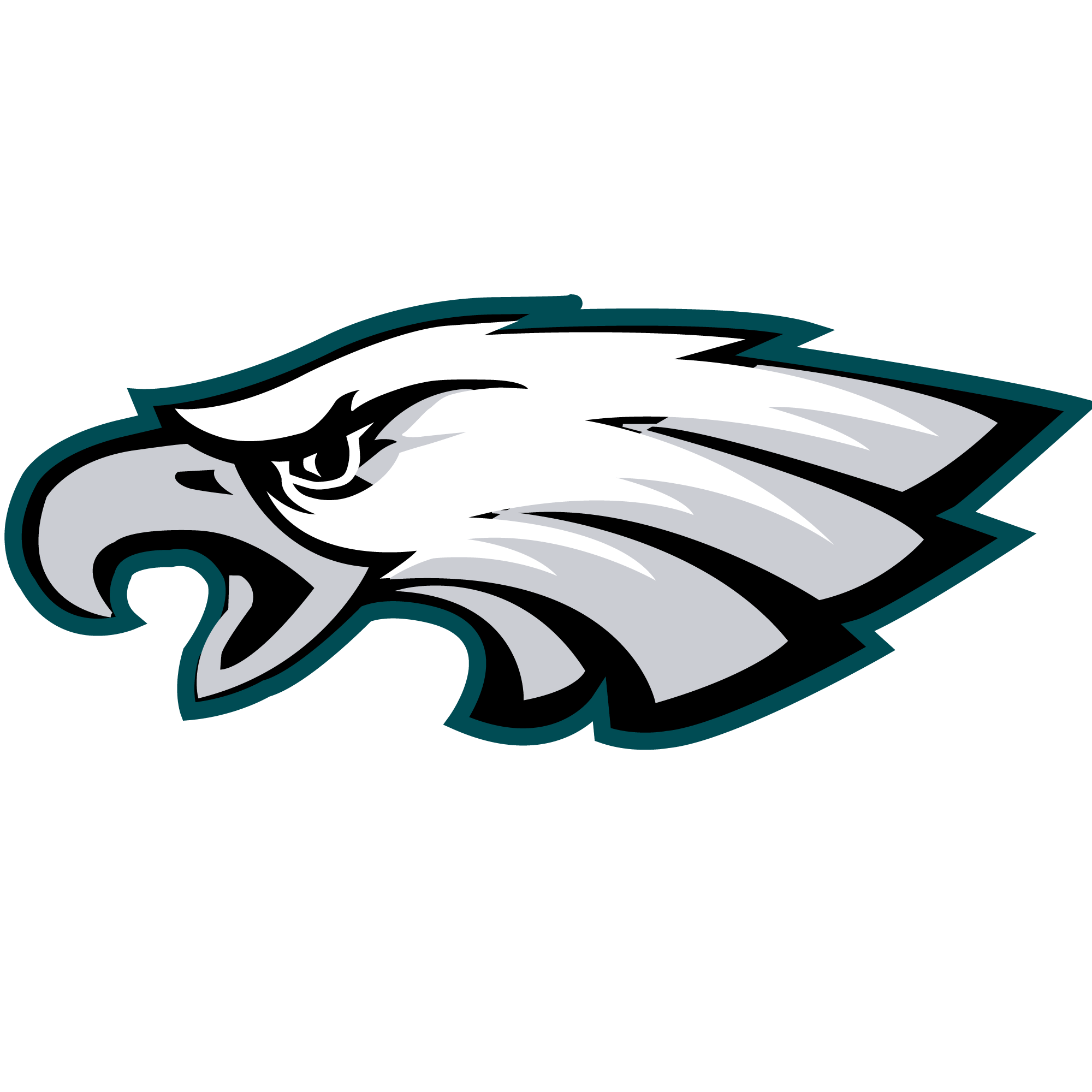 Eagles sports heat transfers