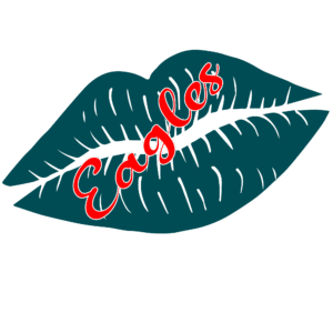 Eagles sports heat transfers