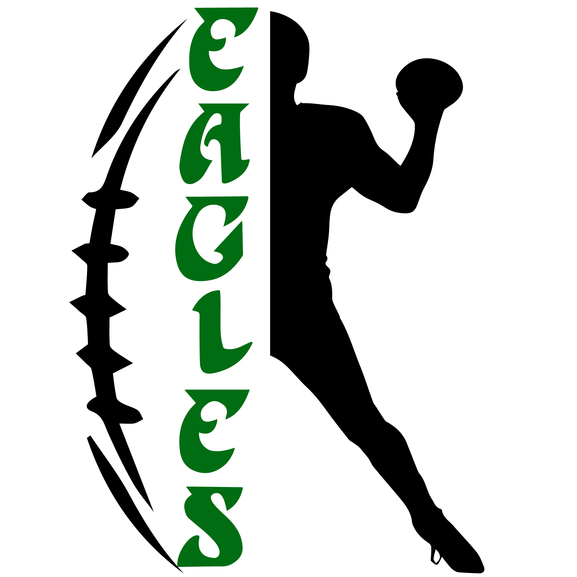 Eagles sports heat transfers