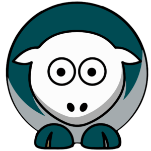 Eagles sports heat transfers