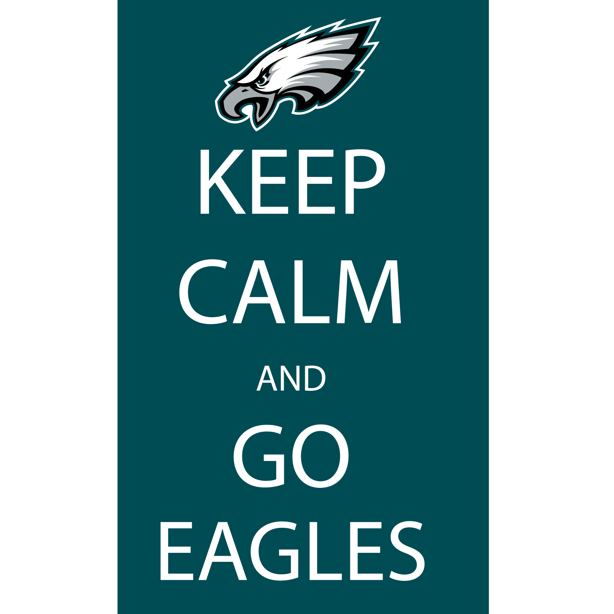 Eagles sports heat transfers