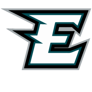 Eagles sports heat transfers