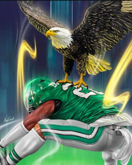 Eagles sports heat transfers 68